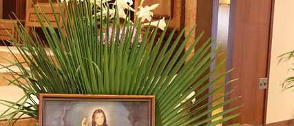 divine-mercy-5075040_640